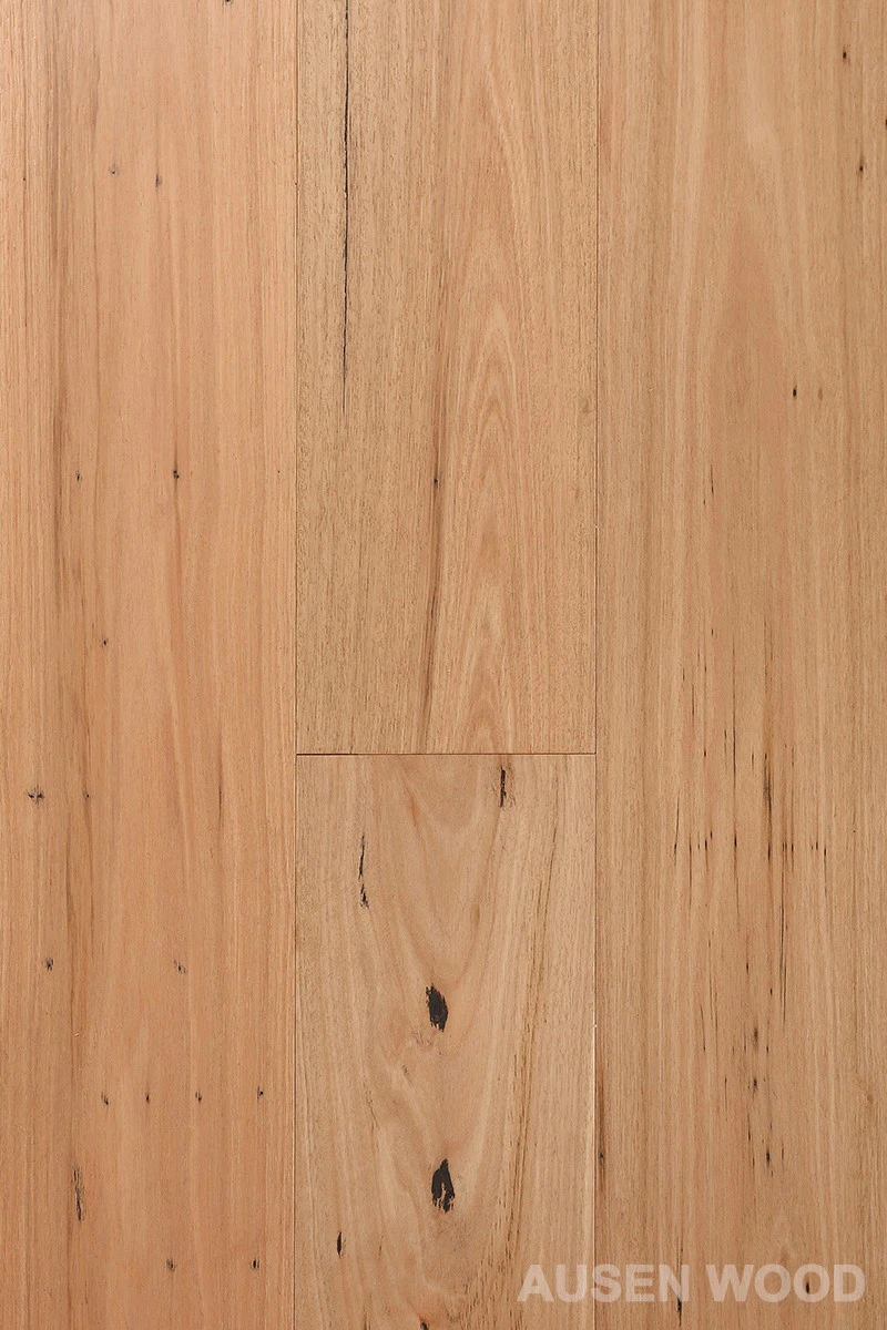 Gordon-Tauló Blackbutt raspallat